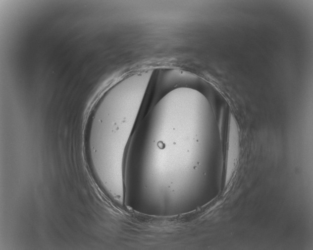 X0000060570293200511071026