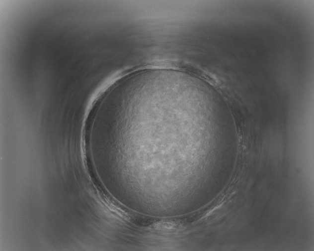 X0000060570294200511071026