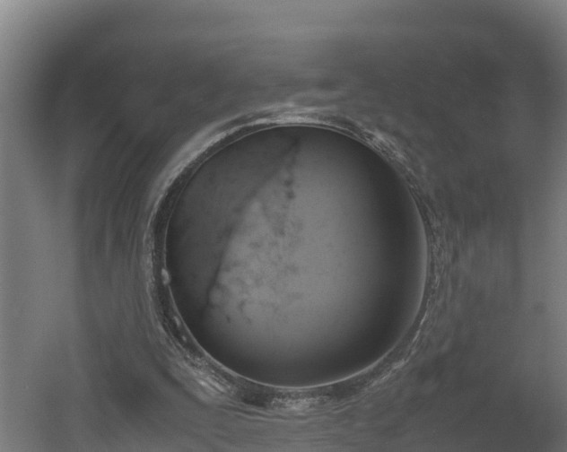 X0000060570295200511071026