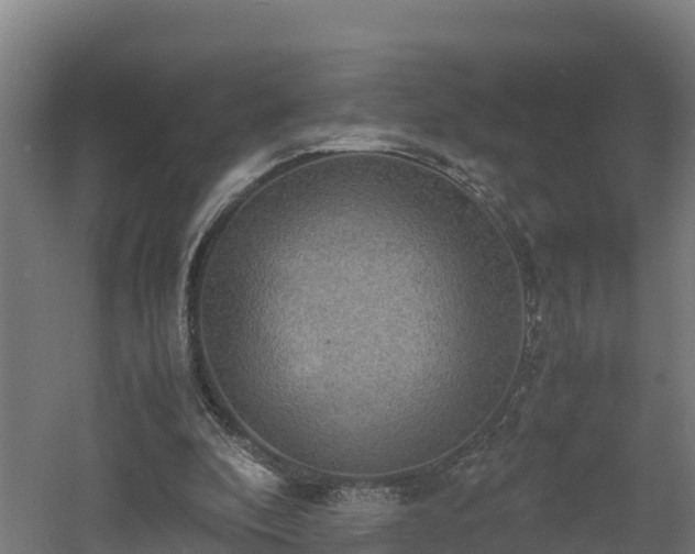 X0000060570296200511071026