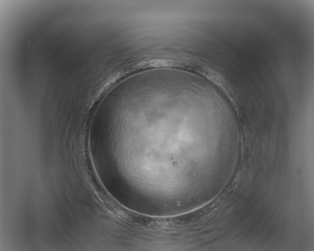 X0000060570297200511071026