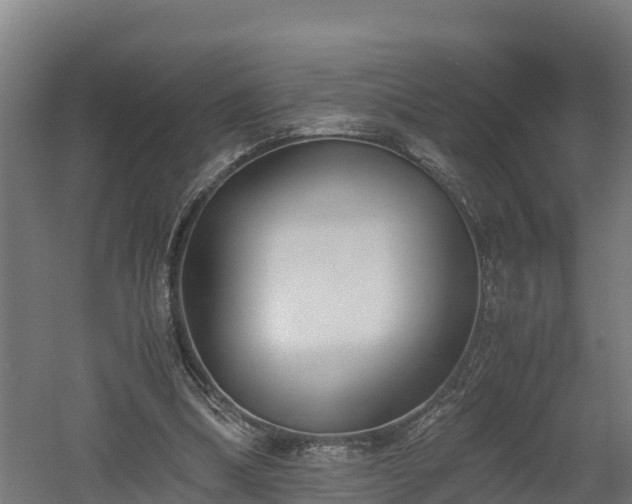 X0000060570298200511071026