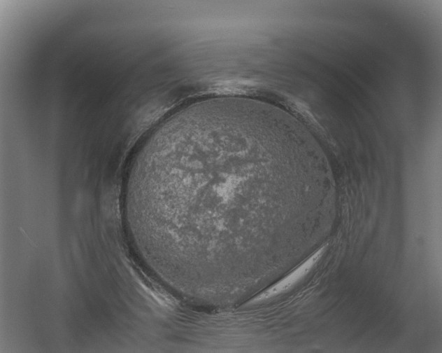 X0000060570299200511071026