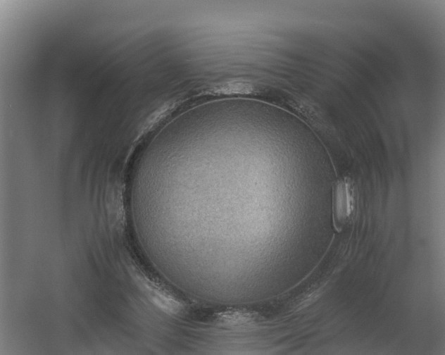 X0000060570300200511071026