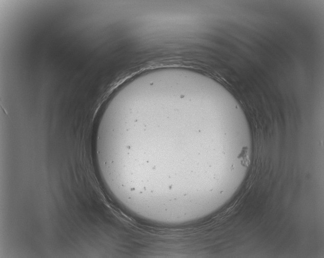 X0000060570301200511071026