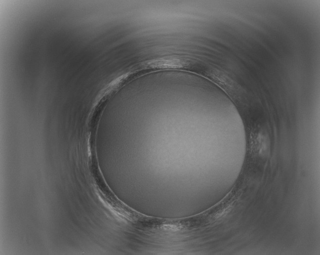 X0000060570302200511071026