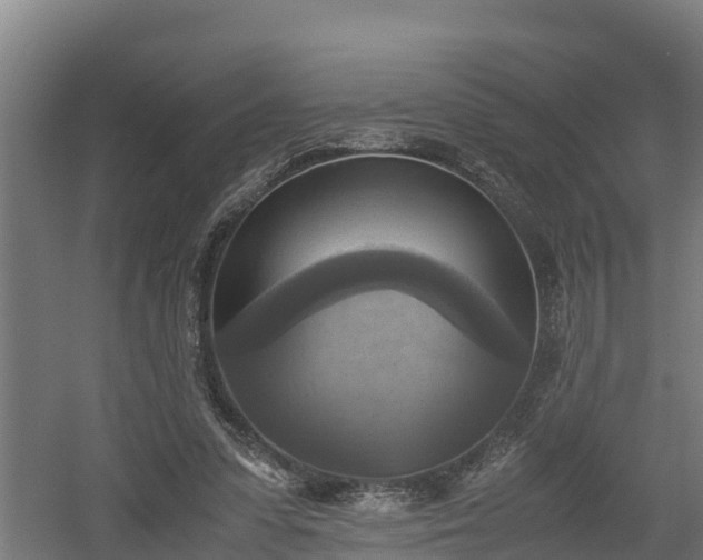 X0000060570303200511071026