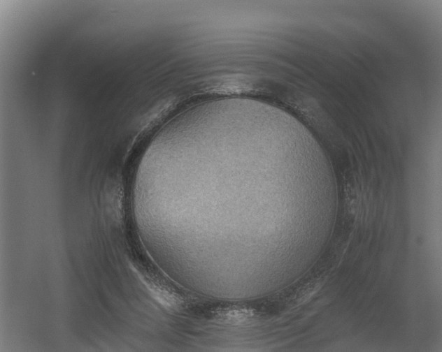 X0000060570304200511071026