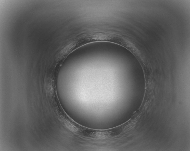 X0000060570305200511071026