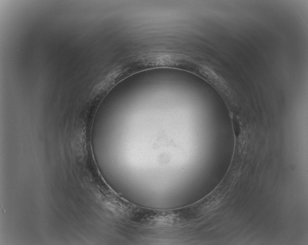 X0000060570306200511071026