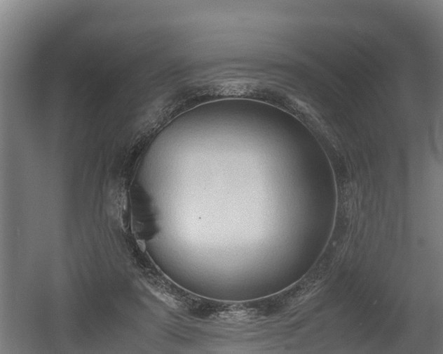 X0000060570307200511071026