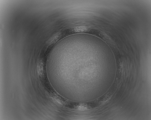 X0000060570308200511071026