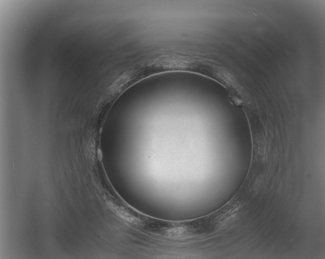 X0000060570309200511071026