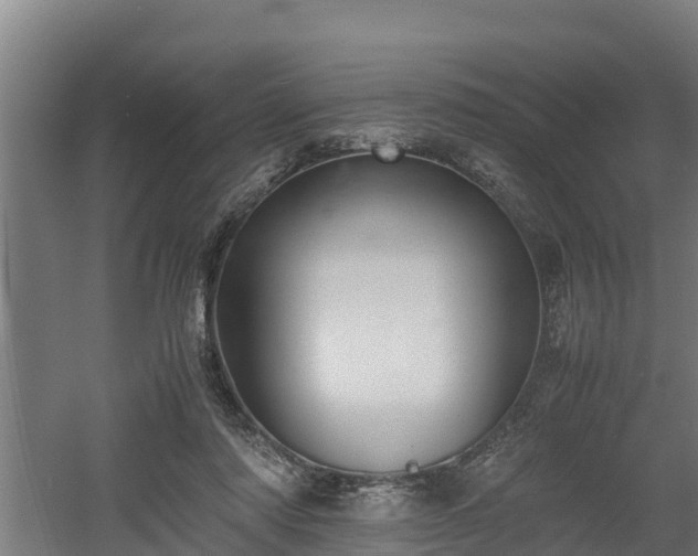 X0000060570310200511071026