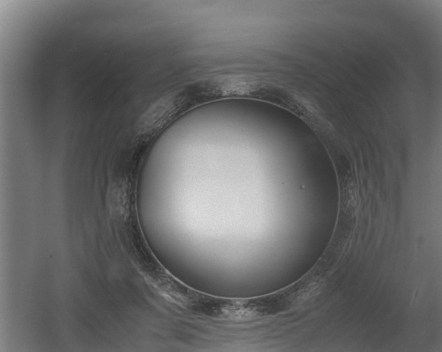 X0000060570311200511071026