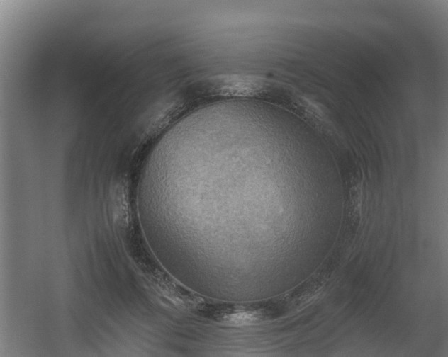 X0000060570312200511071026