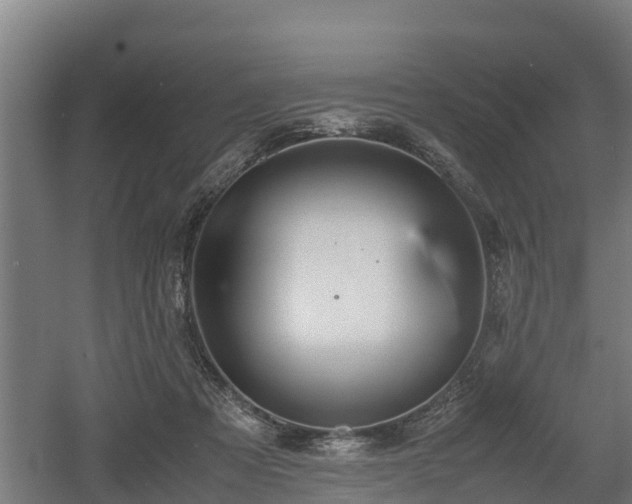 X0000060570313200511071026