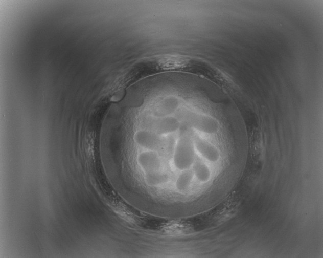 X0000060570315200511071026