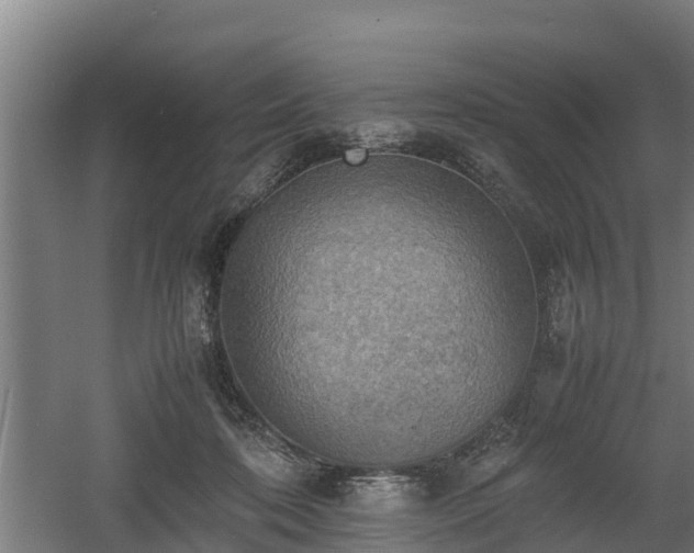 X0000060570316200511071026