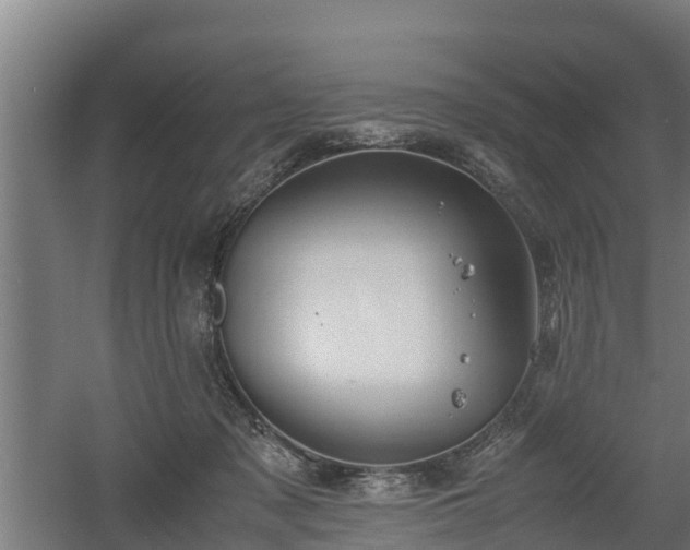 X0000060570317200511071026