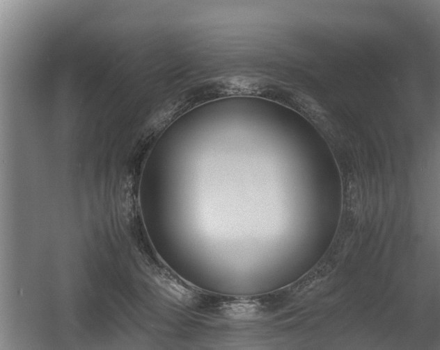 X0000060570318200511071026