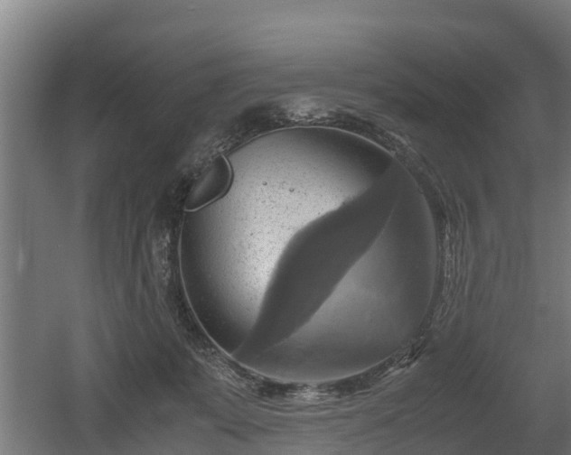 X0000060570319200511071026