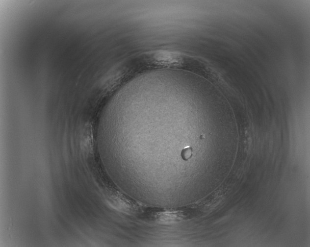 X0000060570320200511071026