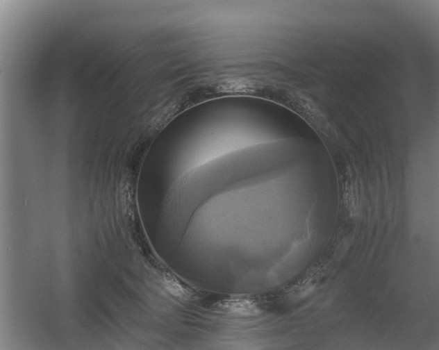 X0000060570322200511071026