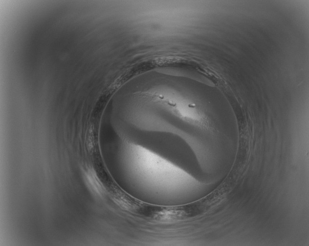 X0000060570323200511071026