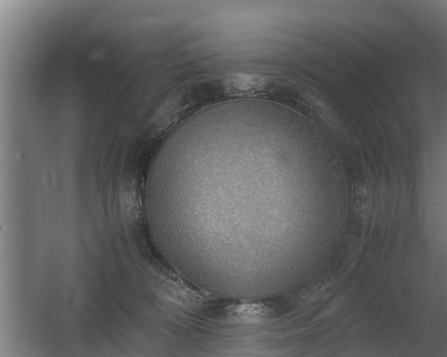 X0000060570324200511071026