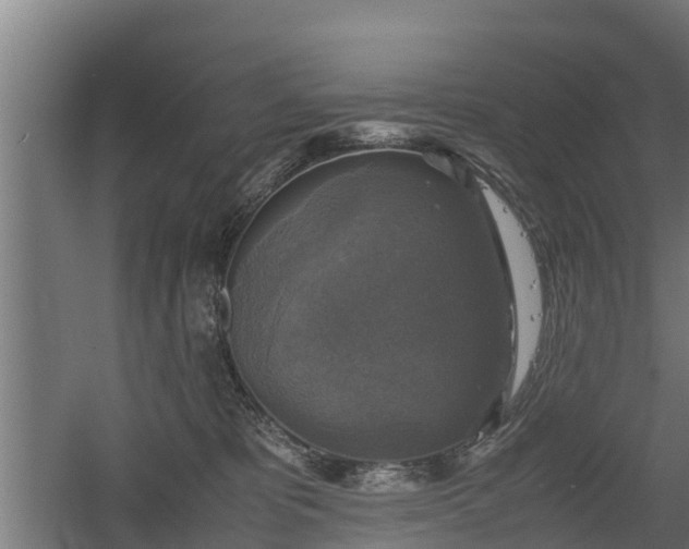 X0000060570325200511071026