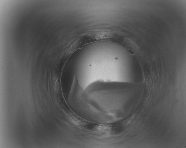 X0000060570327200511071026