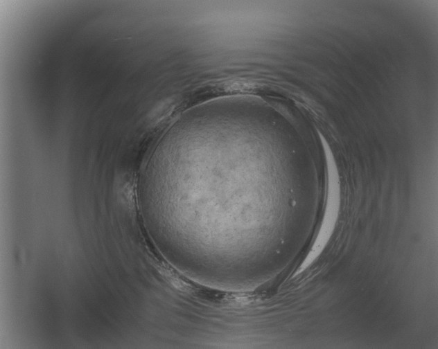 X0000060570329200511071026