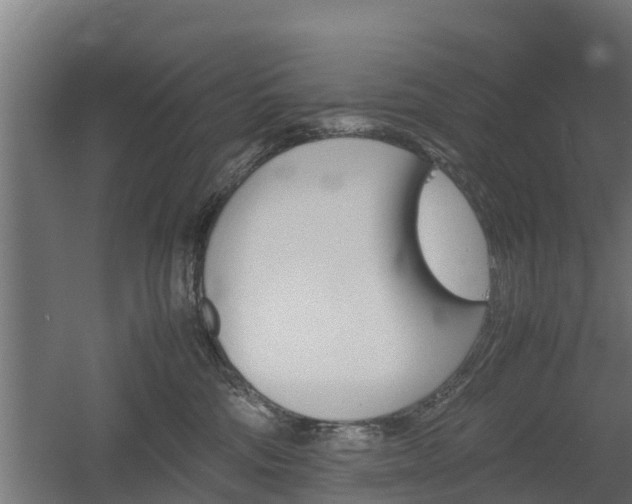 X0000060570330200511071026