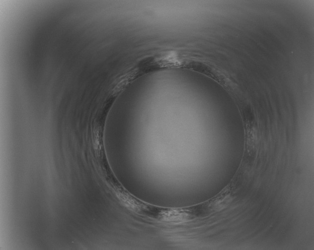 X0000060570331200511071026