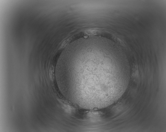 X0000060570332200511071026