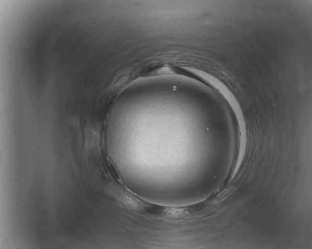 X0000060570333200511071026