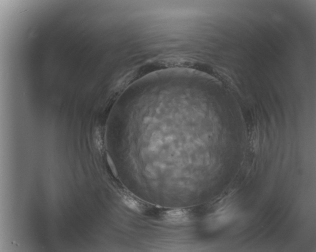 X0000060570335200511071026