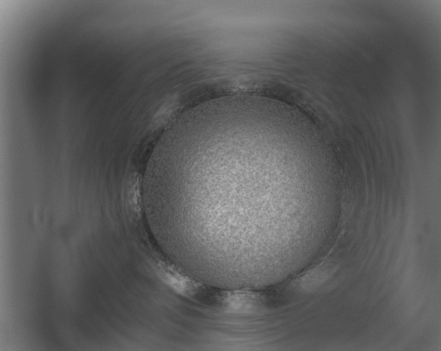 X0000060570336200511071026