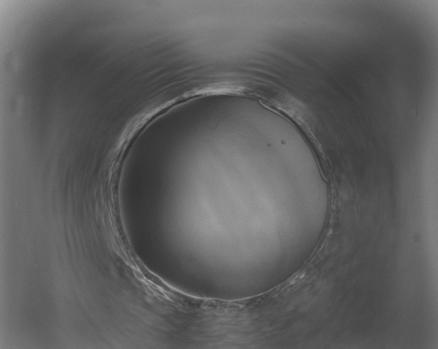 X0000060570337200511071025