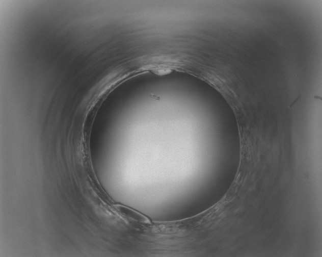 X0000060570338200511071025