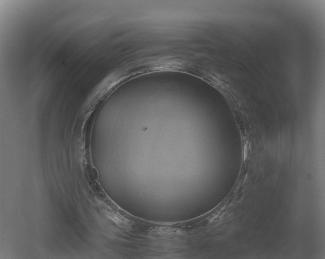 X0000060570339200511071025