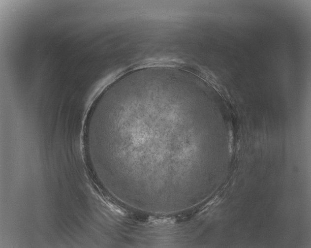 X0000060570340200511071025