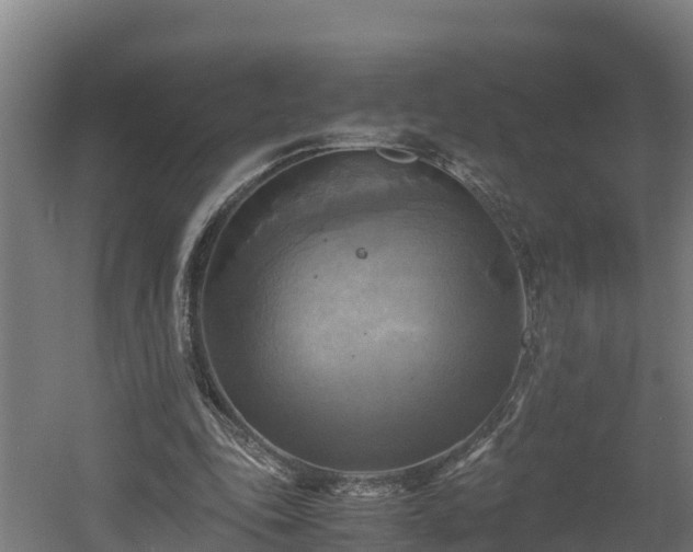 X0000060570343200511071025