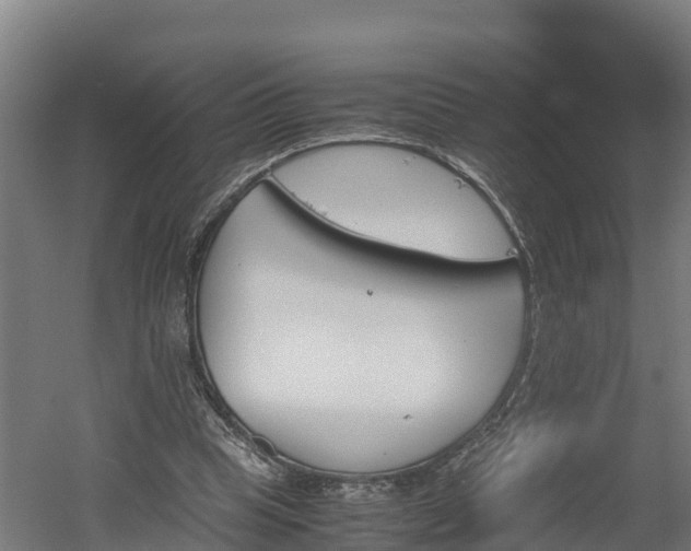 X0000060570345200511071025