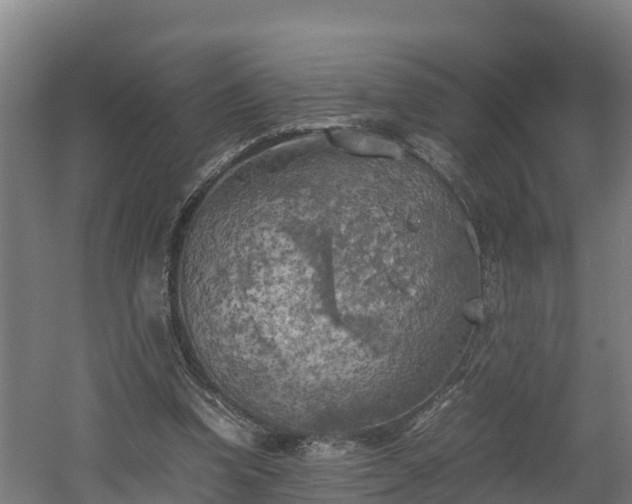 X0000060570346200511071025