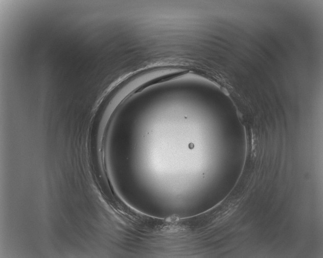 X0000060570348200511071025