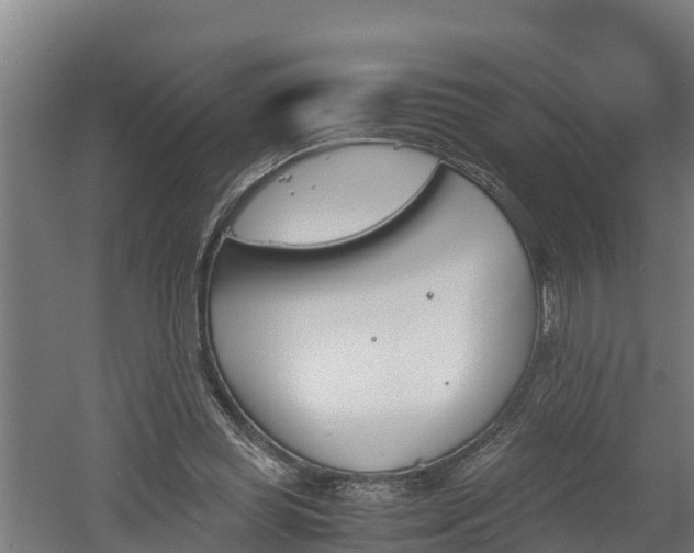 X0000060570349200511071025