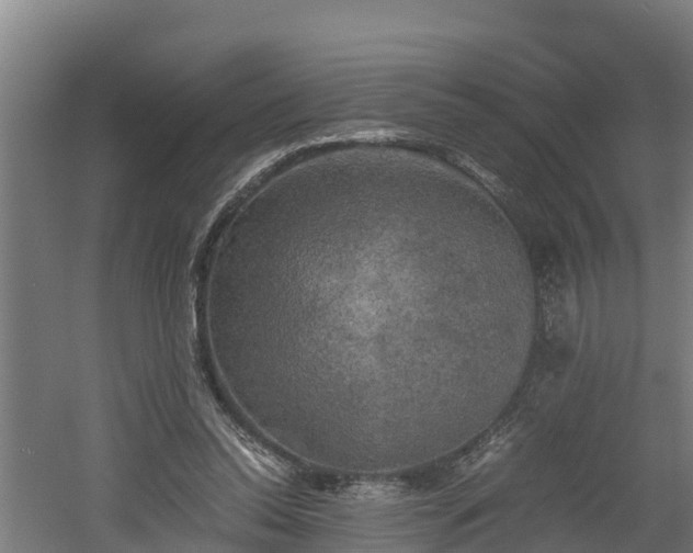 X0000060570350200511071025