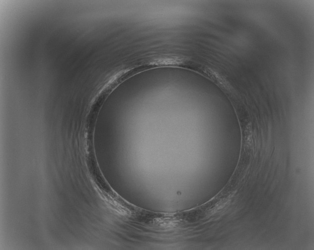 X0000060570351200511071025